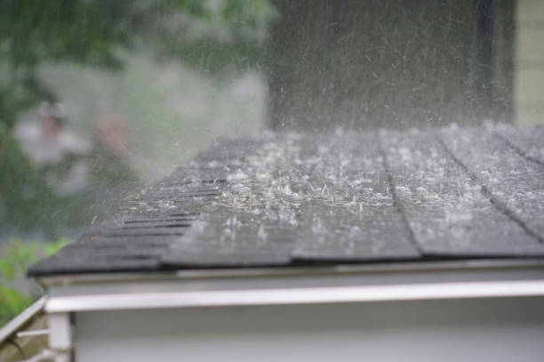 Best Solar Panel Roofing Installation  in Brunswick, GA